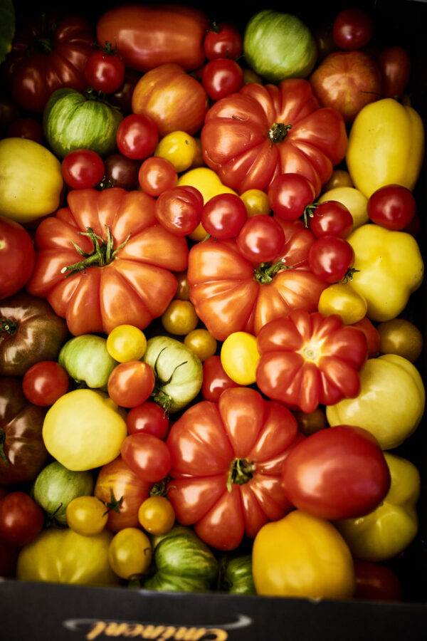 Kochkurs: Mediterran/Italien